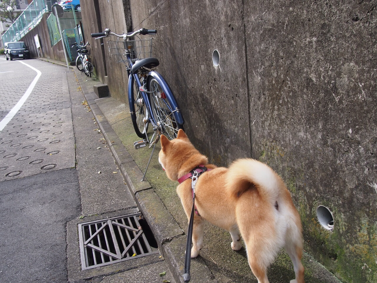 篮球专项技能动作智能化教学应用研究,篮球专业技术动作