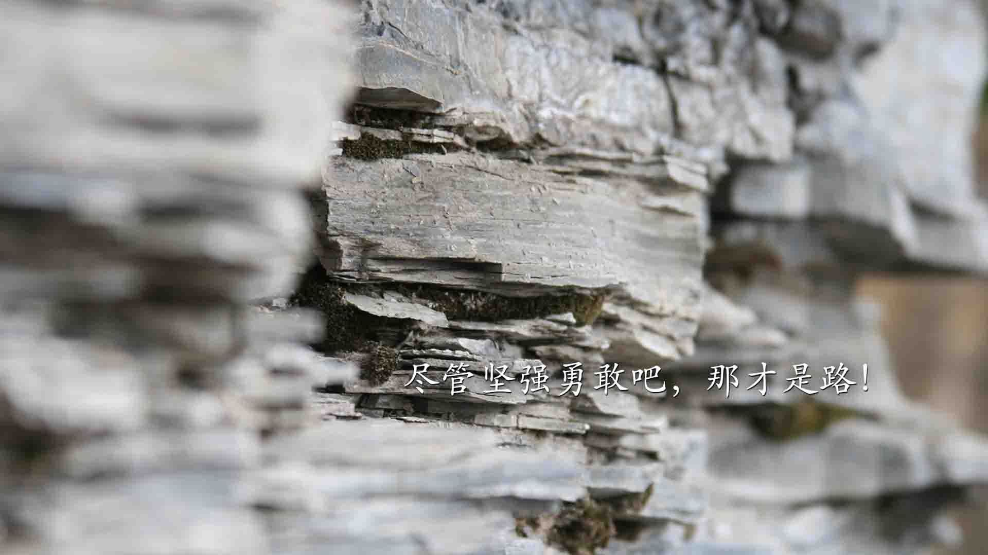 篮球运动员专项技能训练课程体系的优化与实施方案,篮球技能培训方案