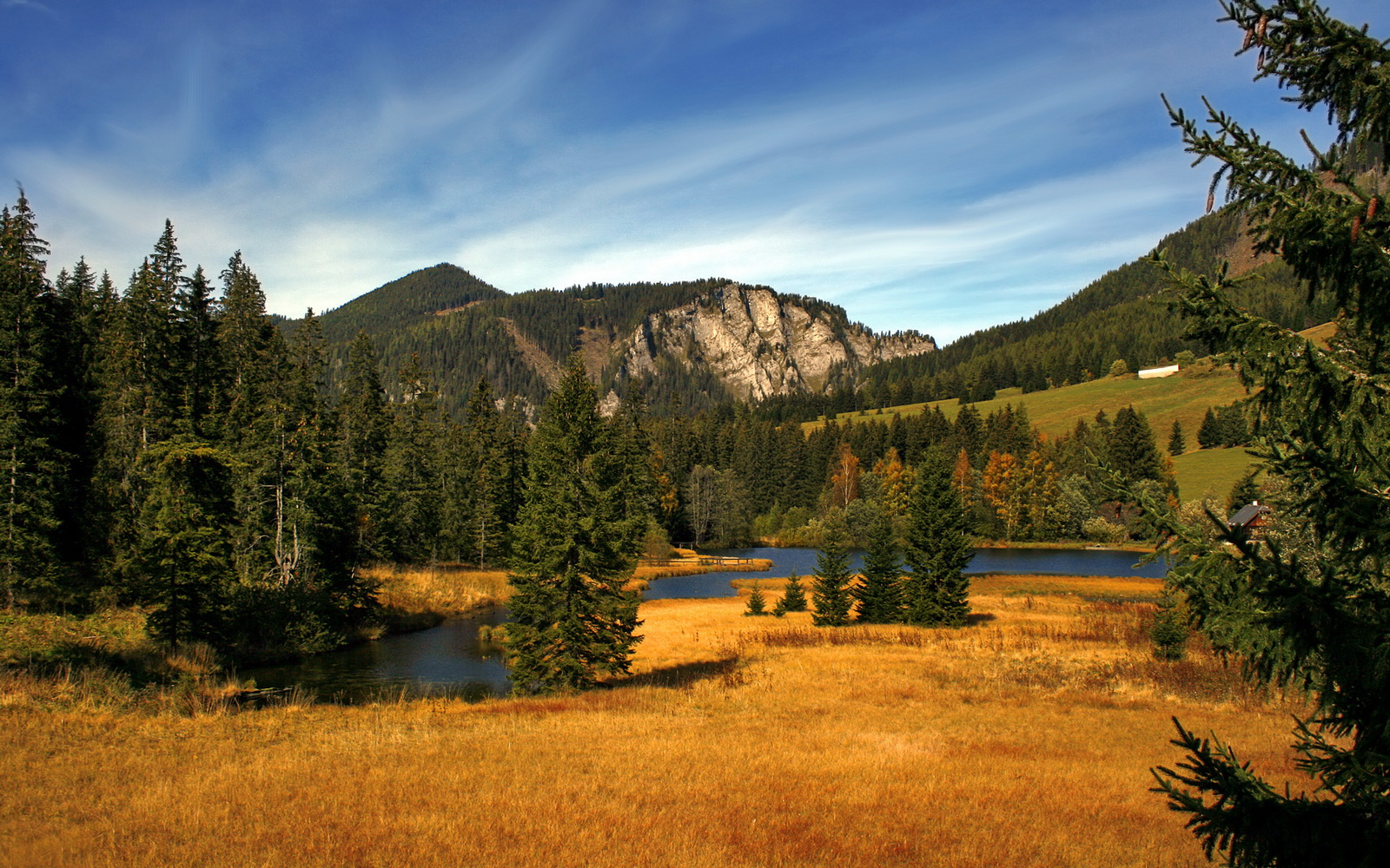 篮球运动场馆智能化建设研究,智能篮球场管理系统