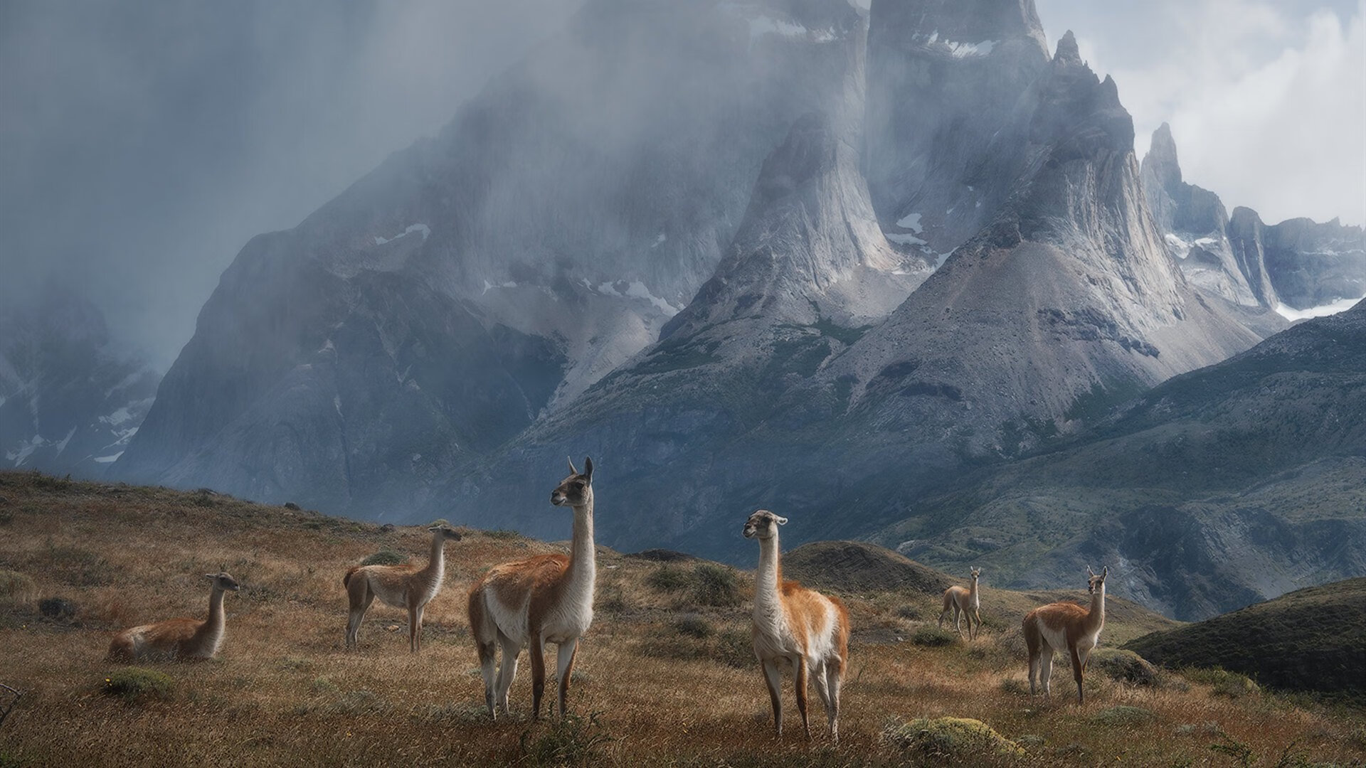 世界杯预选赛中国青年队战败 球迷呼吁加强心理辅导,2022世界杯预选赛中国队怎么样才能出线