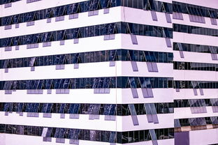 开云官方网-体育新闻中心推进体育智库体系建设，体育专题报道