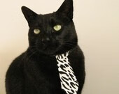 加拿大游泳技术未来发展趋势,加拿大的游泳馆