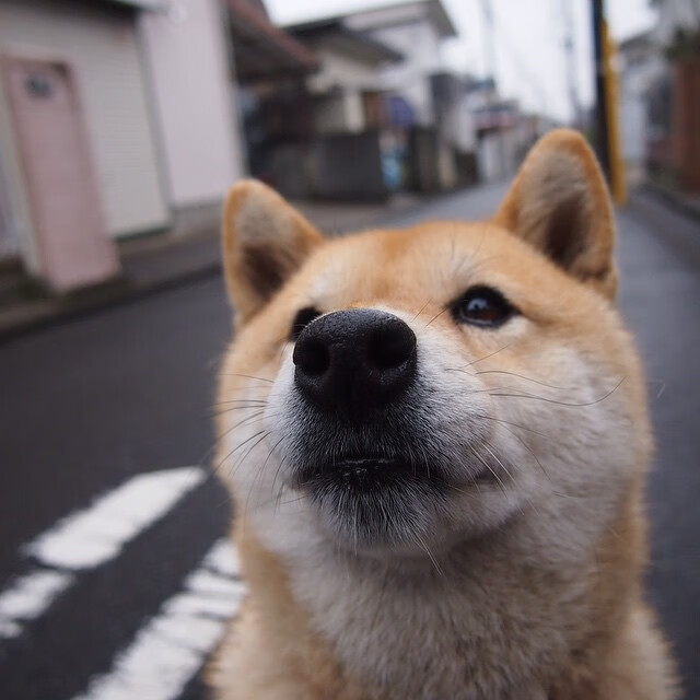 后卫线竞争激烈谁能成为国家队新大脑,后卫什么