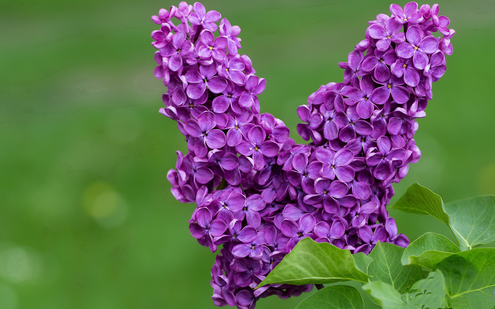 海湾者未来青训体系逐渐完善,海湾技术