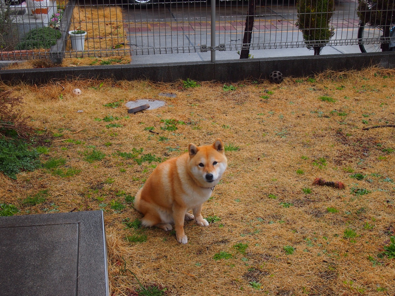 裁判团队数字考核系统试运行,裁判员管理平台