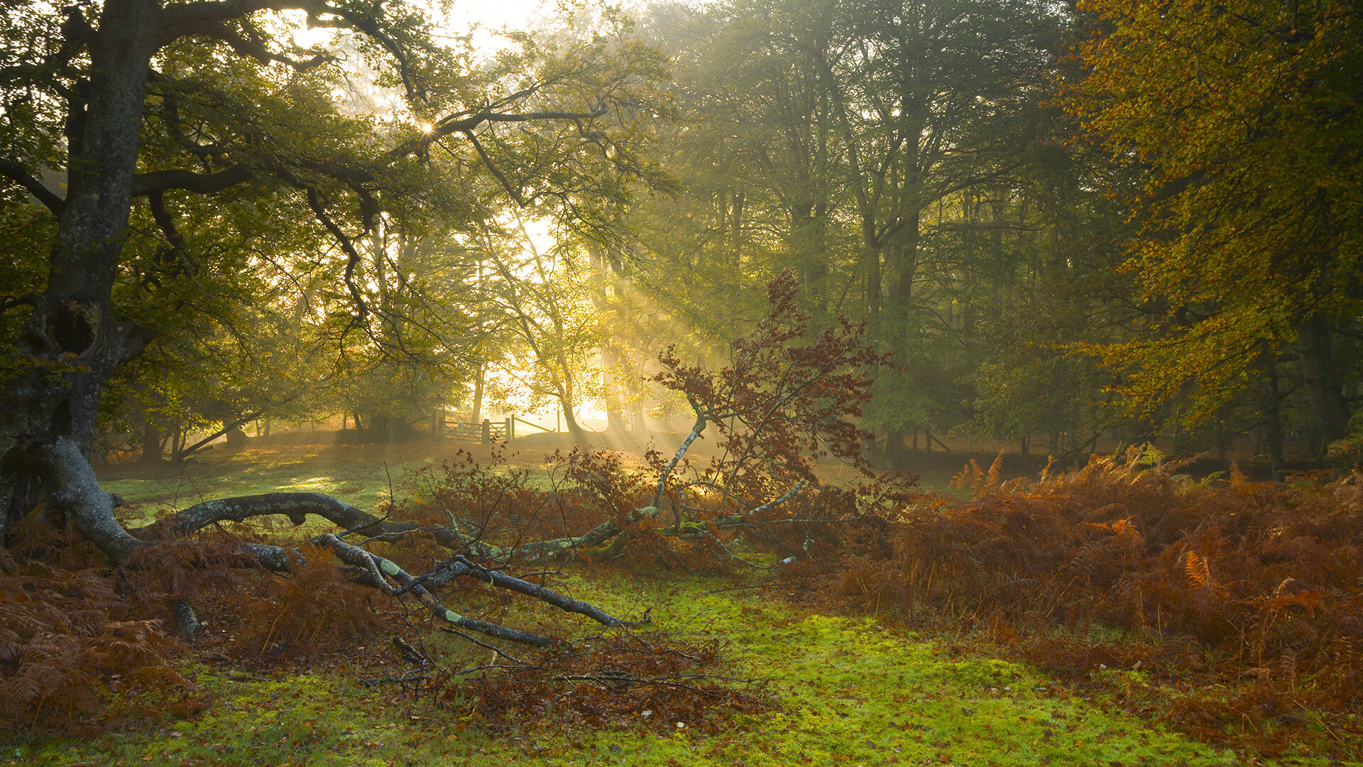 开云体育足球-丁俊晖晒出童年照片感慨台球之路，丁俊晖的台球视频