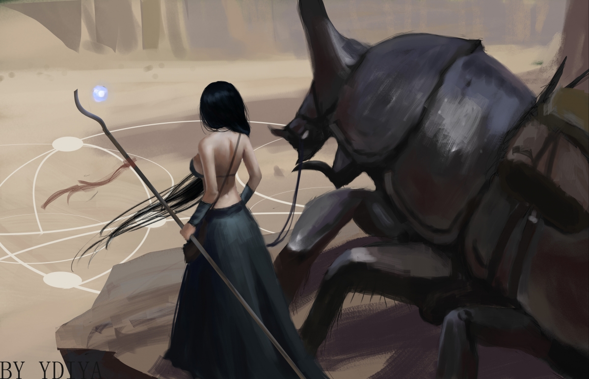 中国足球青训基地训练环境持续优化,全国足球青训机构排名