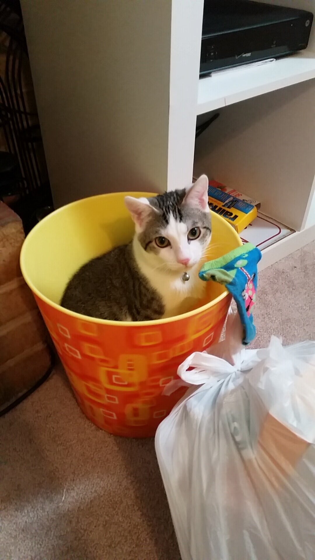 开云体育官网上-乌干达女篮在非洲锦标赛中奋战不止，期待更佳表现，带你一起看非洲乌干达