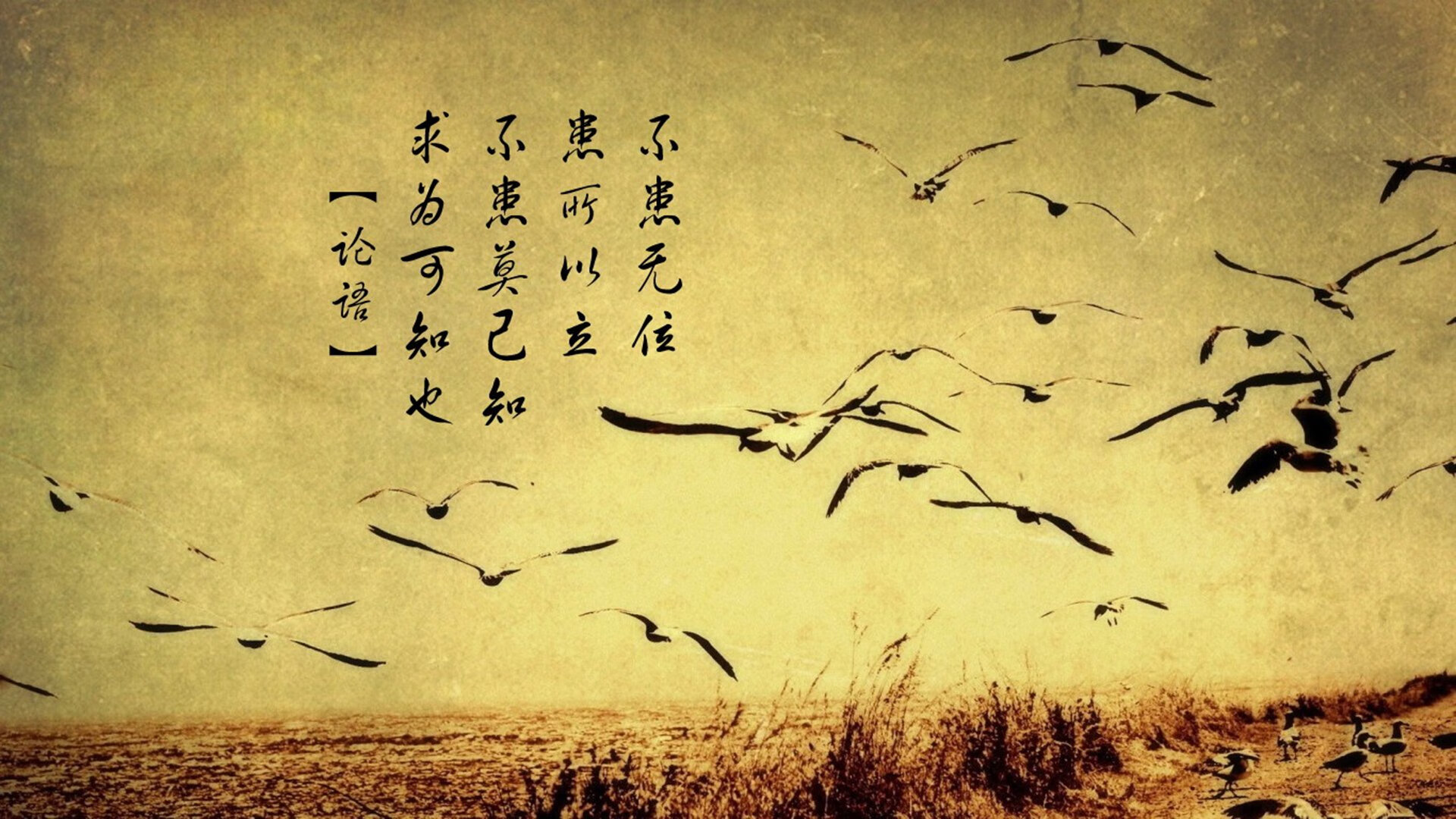 利物浦稳扎稳打,欧冠赛场展现强大实力