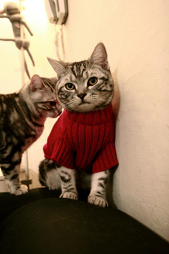 国家队组织战术沙龙交流提升教练团队合作