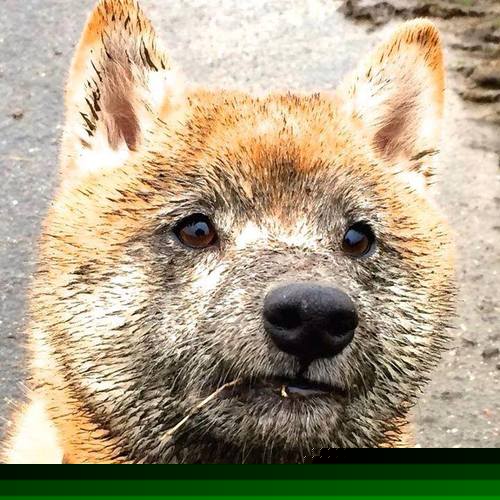 多项目协同发展,推动国家整体竞技水平提升,推进重点项目协同和研发活动一体化