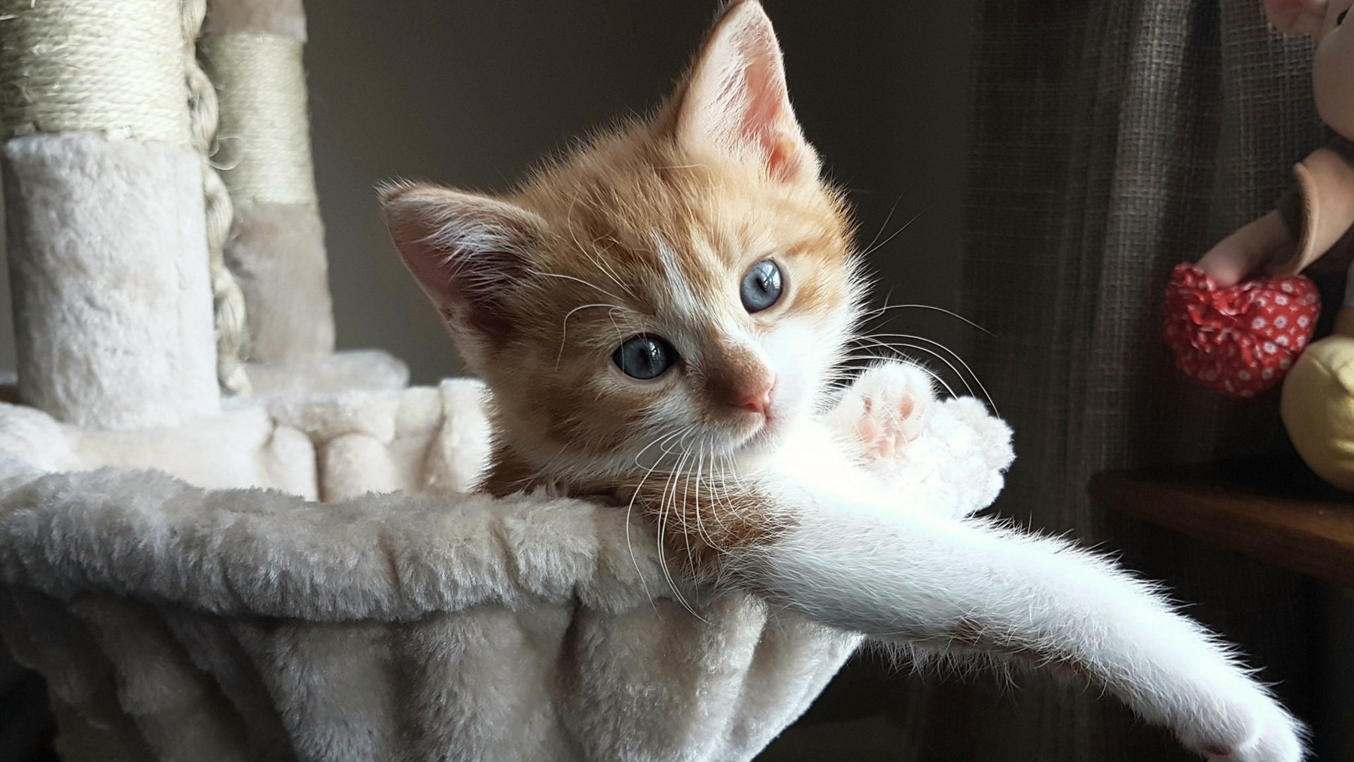 巴尔:在关键时刻,他总能做出精确的判断,为全黑队带来胜利的机会