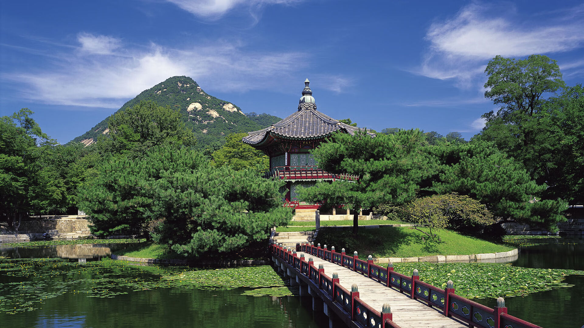 库里参与设计球队新赛季主题球衣,库里球衣集合