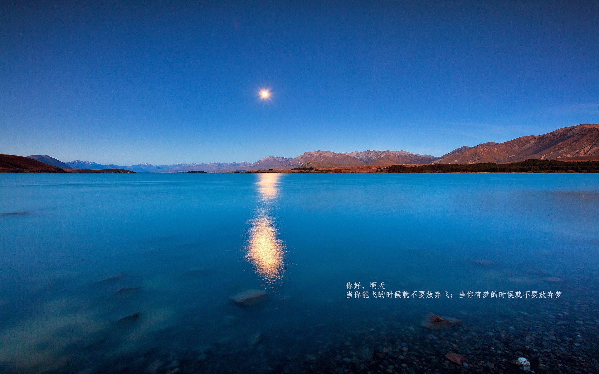 未来足球场馆实现全环节智能化管理,提升行业科技水平,足球场管理与服务方案