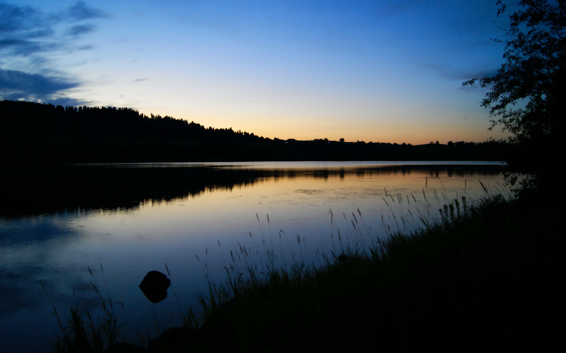 自由泳中距离摩纳哥节奏掌控良好,自由泳漫游